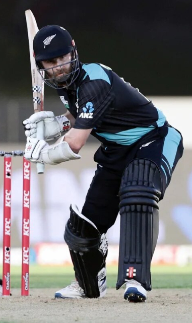 Williamson scores a fifty
